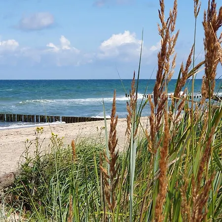 Admiral Brommy Graal-Mueritz