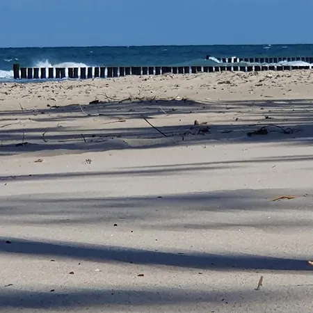 Admiral Brommy * Graal-Mueritz